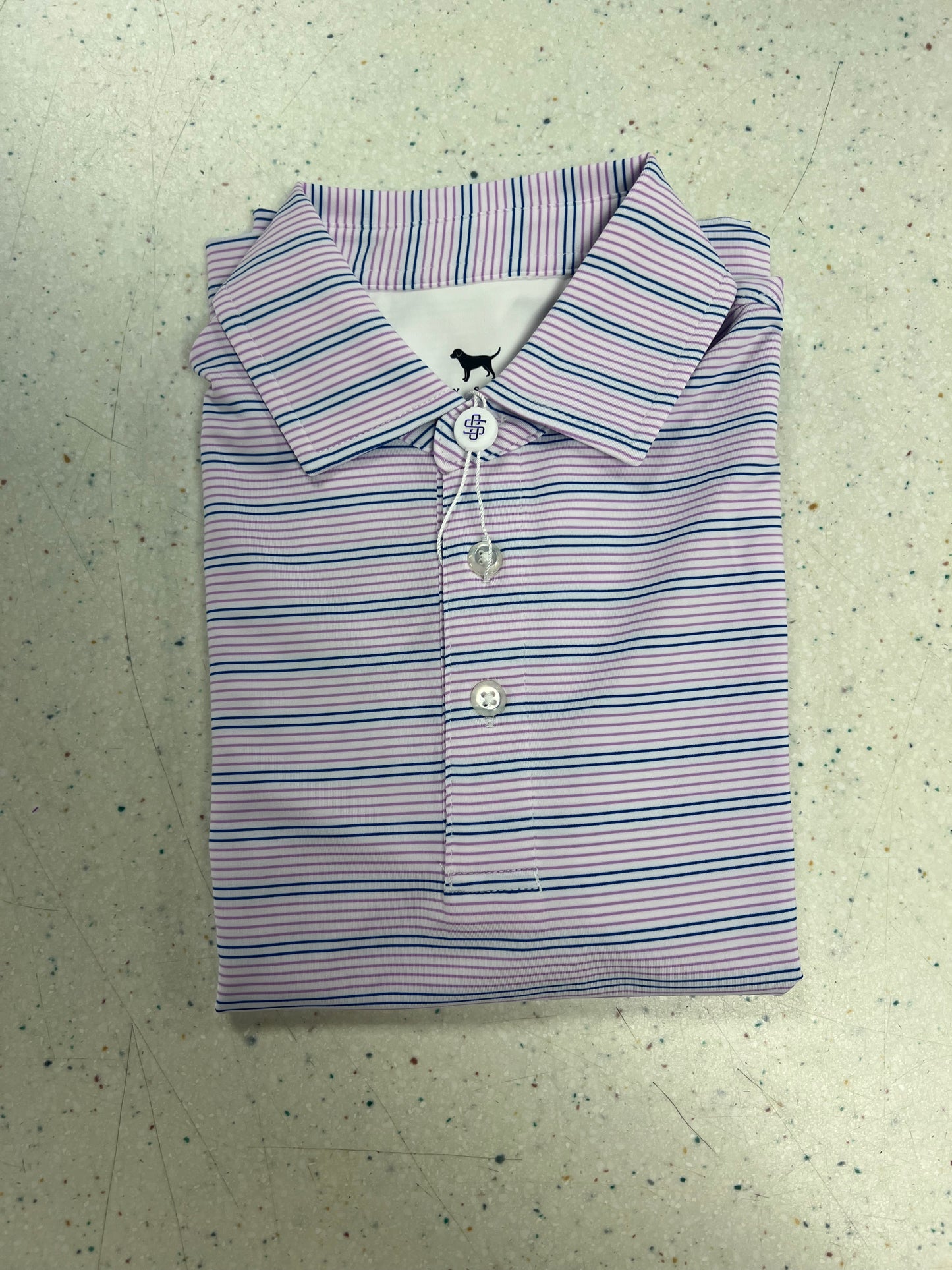The Blue Ridge Striped Polo