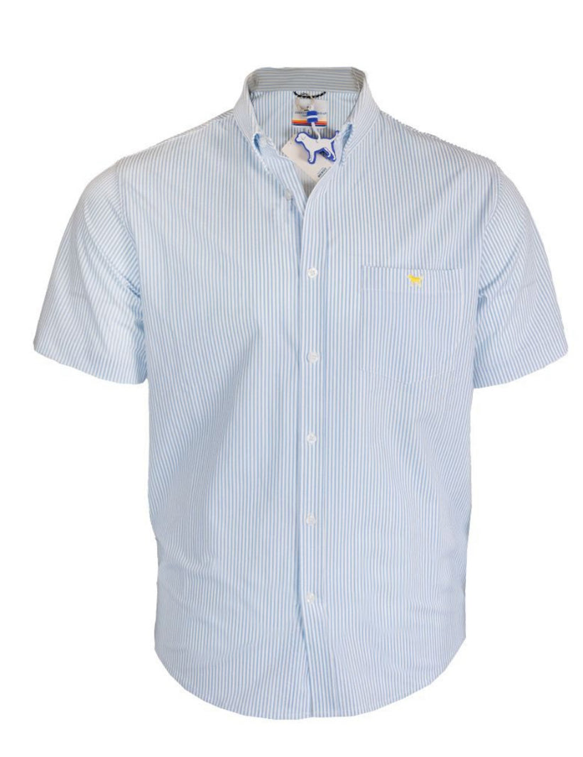 Sheer Blue stripped button down