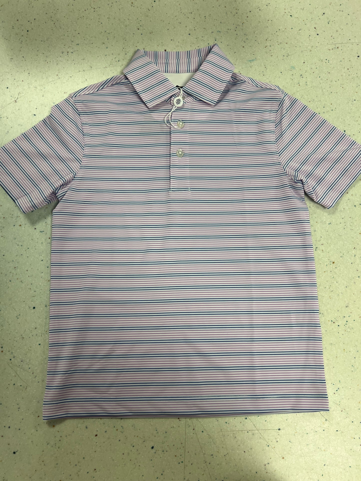 The Blue Ridge Striped Polo
