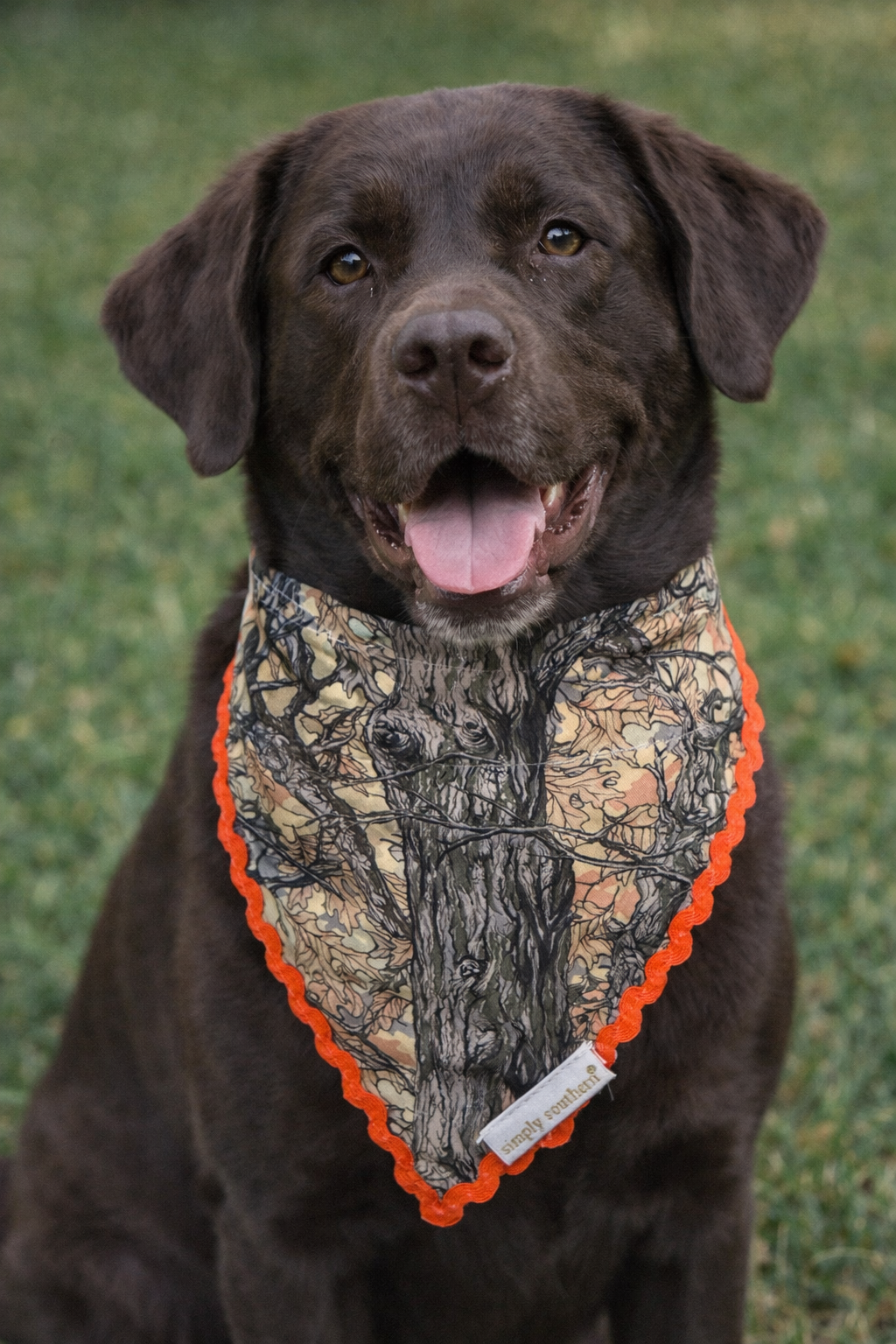 “Pawsome” Pet Bandana