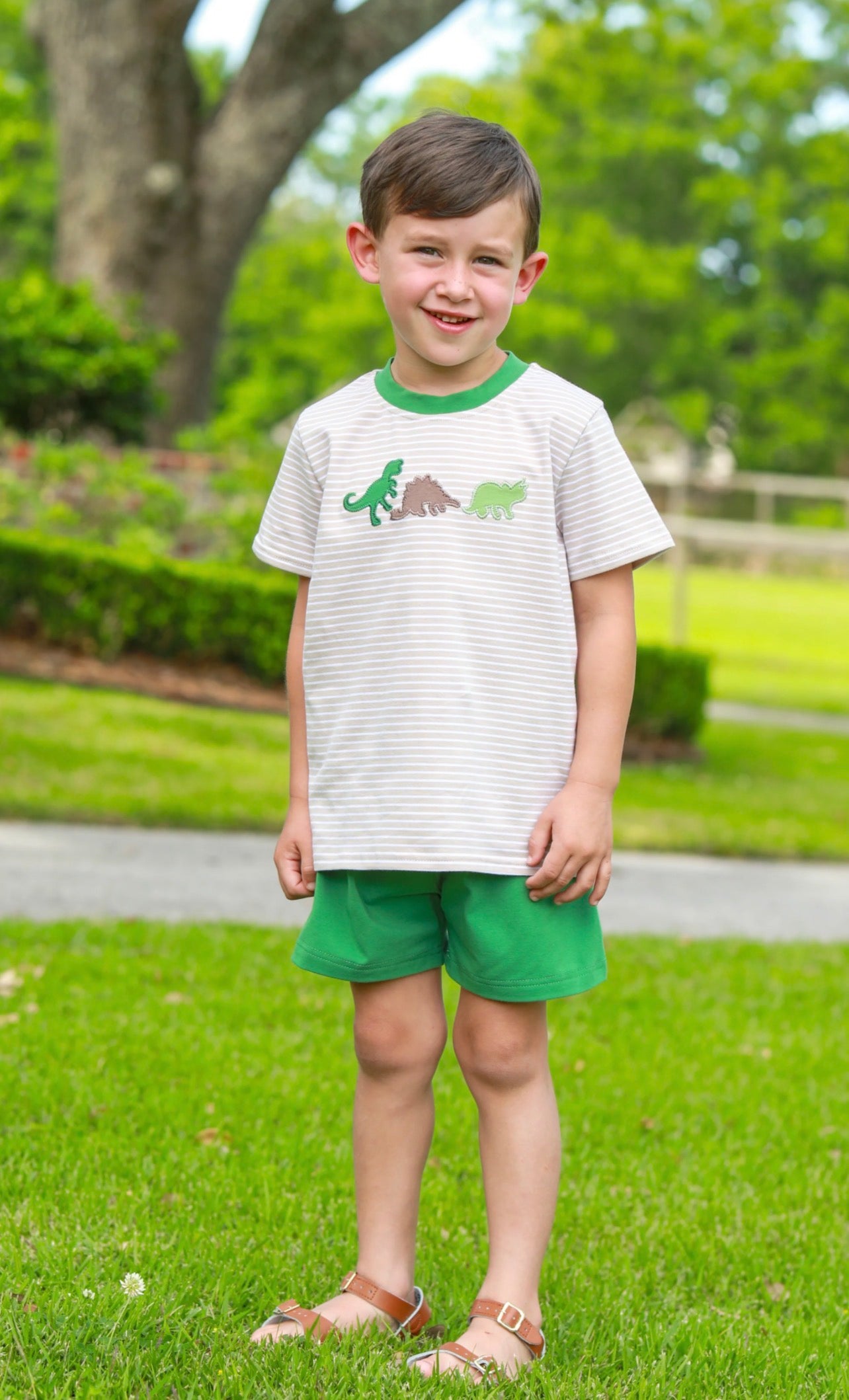 Dino Trio Stripe Tee Set