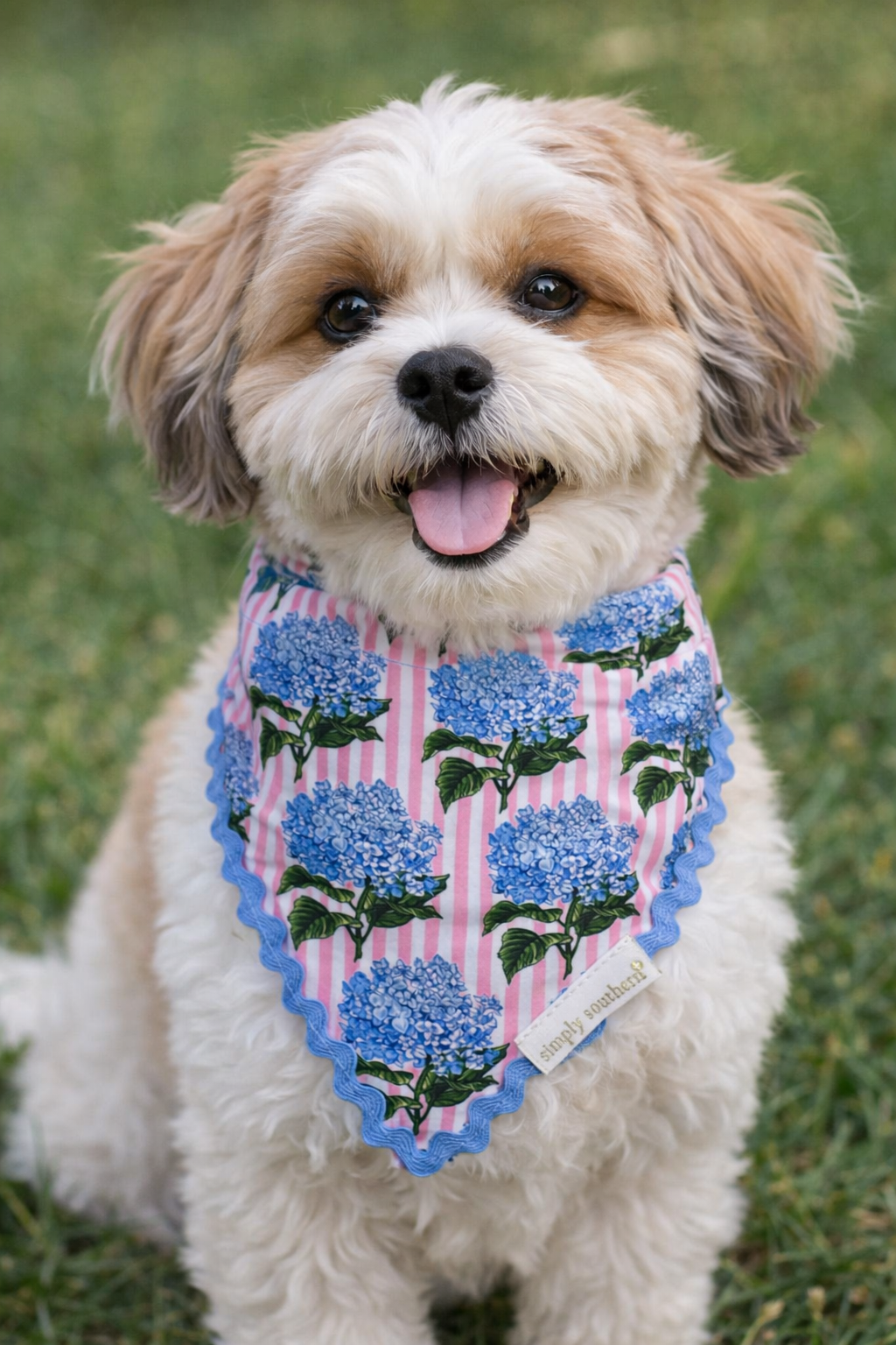 “Pawsome” Pet Bandana
