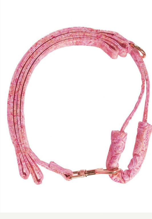 Pet Leash