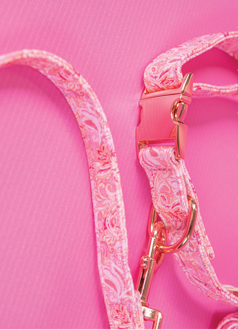 Pet Leash