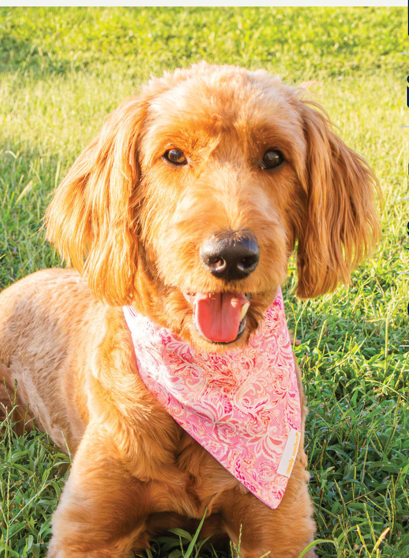 “Pawsome” Pet Bandana