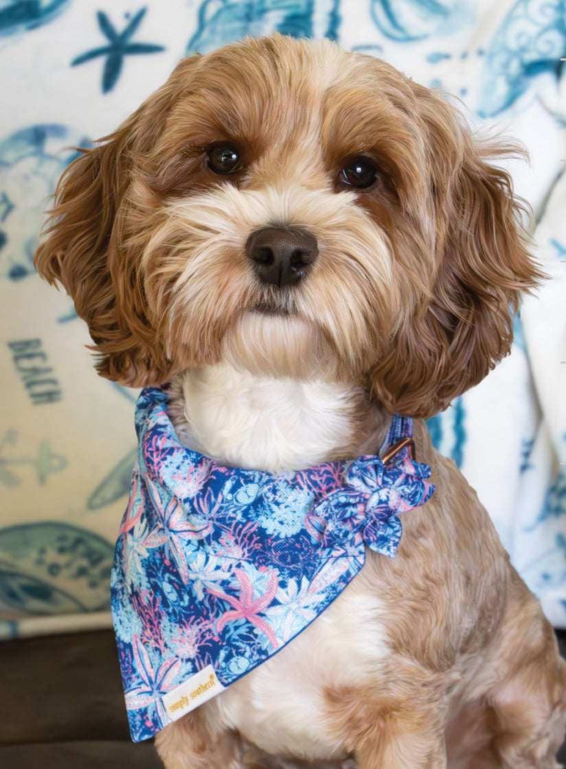 “Pawsome” Pet Bandana
